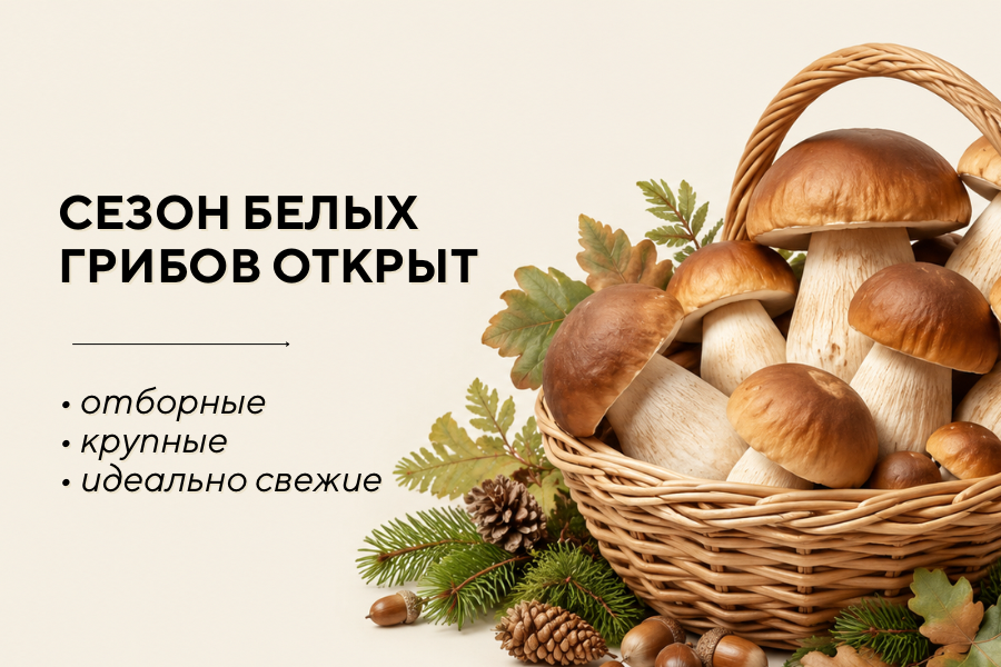 ГРИБЫ